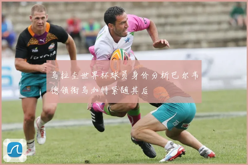 乌拉圭世界杯球员身价分析巴尔韦德领衔乌加特紧随其后