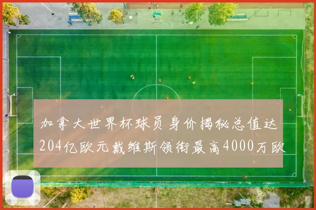 加拿大世界杯球员身价揭秘总值达204亿欧元戴维斯领衔最高4000万欧